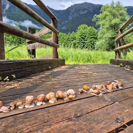 Gaestehaus Seewinkel Presseggersee Zewnętrze zdjęcie