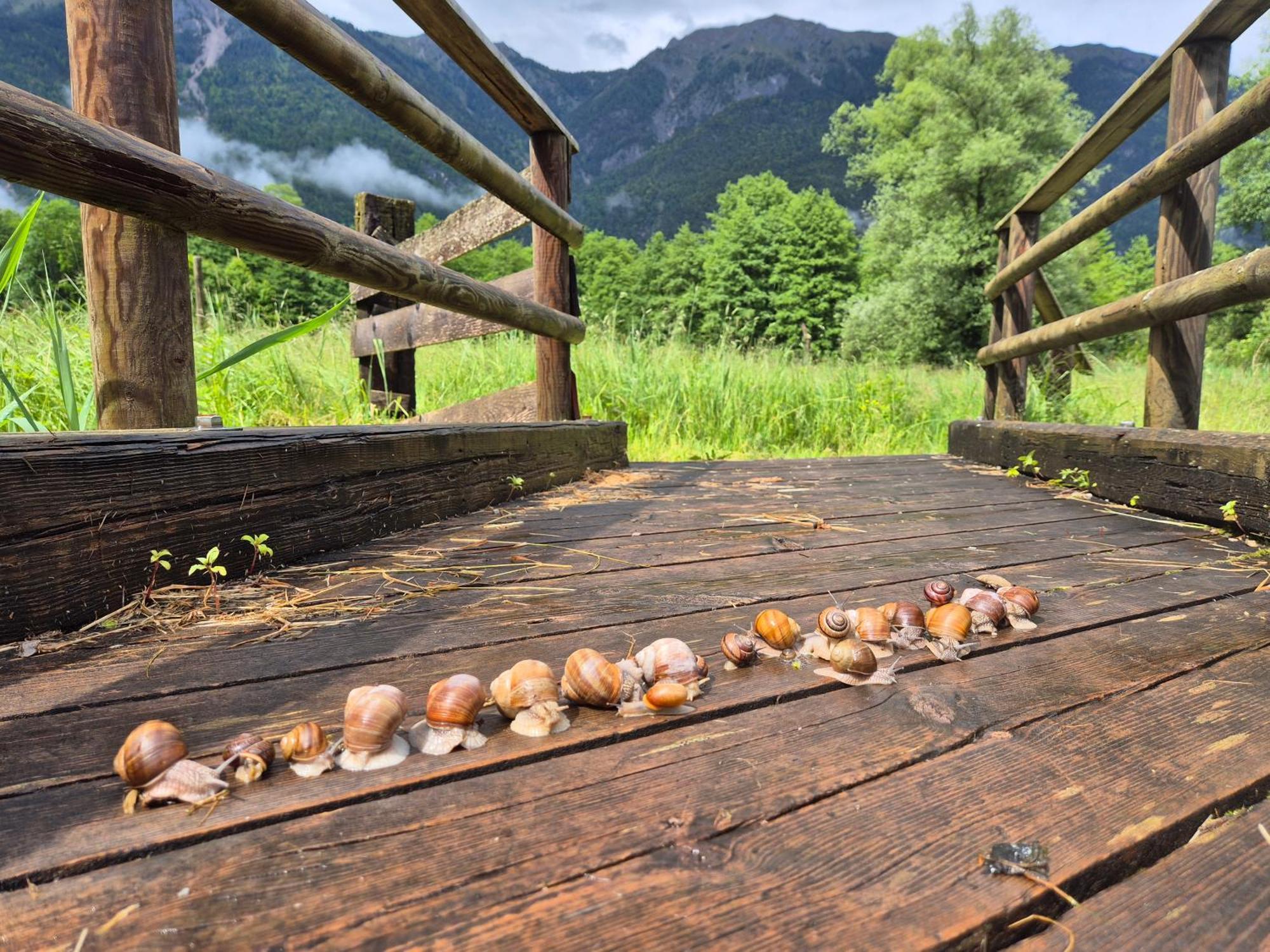 Gaestehaus Seewinkel Presseggersee Zewnętrze zdjęcie