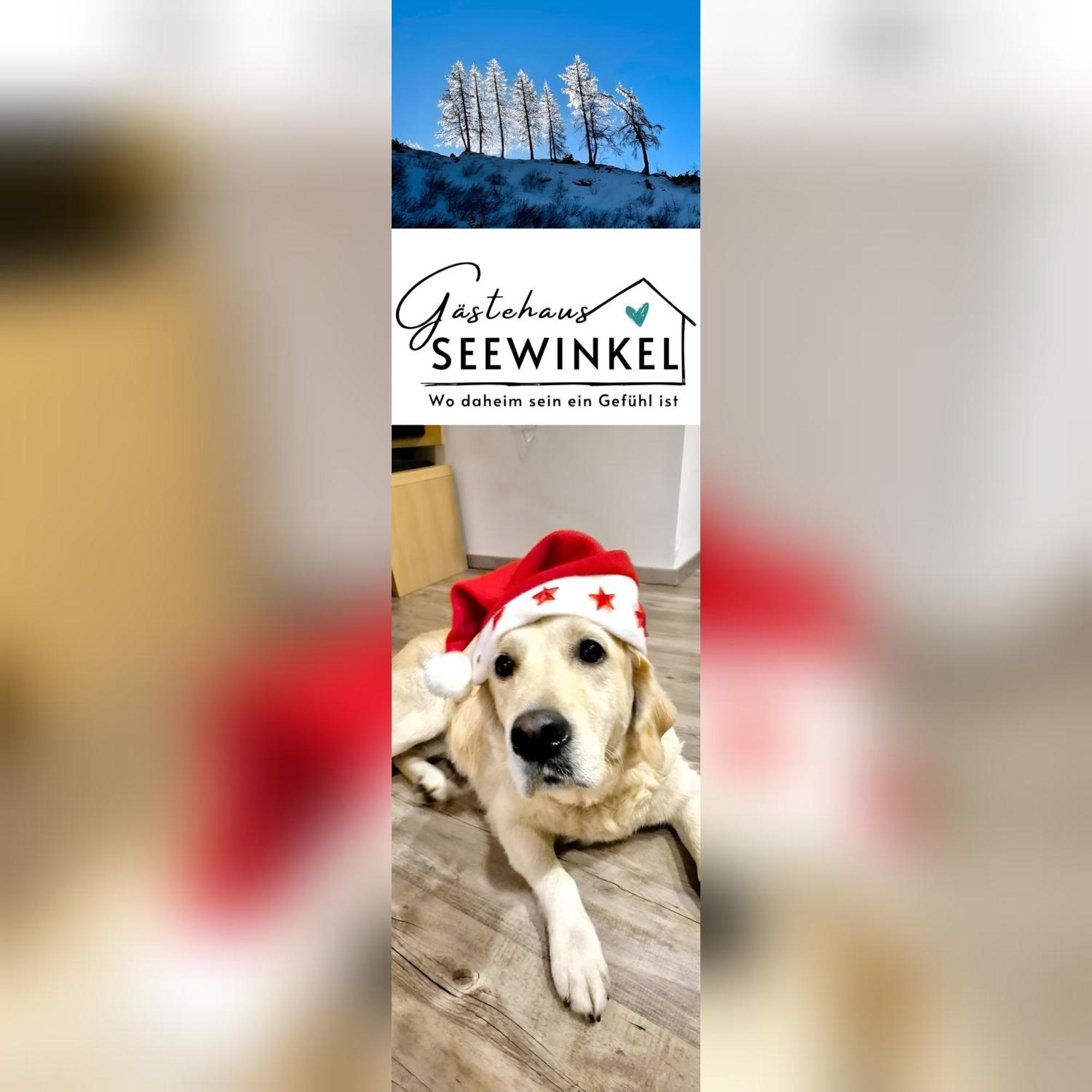 Gaestehaus Seewinkel Presseggersee Zewnętrze zdjęcie